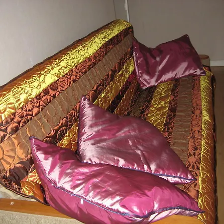 Apartman Aleksandra Caka 65 *